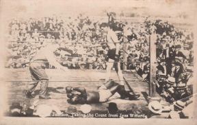 Jess Willard and Jack Johnson Postcard