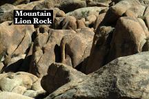 Mountain Lion Rock