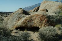 Blow Top Arch