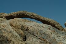 Cookie Arch