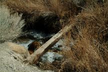 Bridge across Tuttle Creek