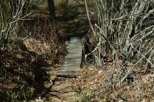 Bridge towards Hippie Caves