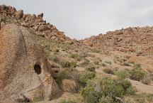 Indian Cemetery Arch 02