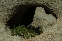 Laughing Arch