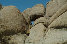 Lost Cookie Arch