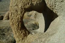 MJS Arch