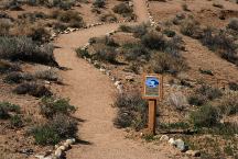 Mobius Arch Trailhead