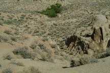 Trail towards Mobius Arch