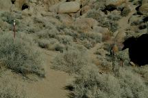 Fence Across the Trail