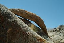 Orange Arch