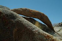 Orange Arch