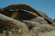 Orange Arch