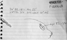 Measurements for Piranha Arch