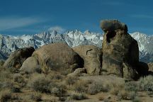 Quail Head Arch