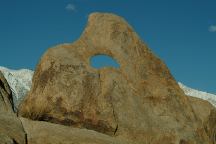 Sharks Tooth Arch