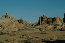 Sharks Tooth Arch