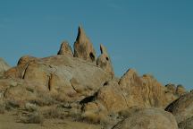 Shark Tooth Arch