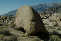 Tripod Arch