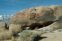 Turkey Buzzard Arch