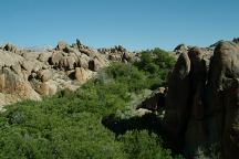 Trail near Wildman Arch