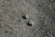 Indian Mortors and Dynamite Holes