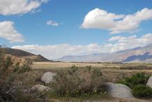 View from Indian Camp with Mortars