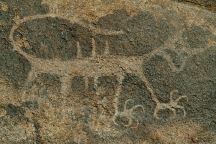 Petroglyph from Alabama Hills