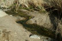 Stream near Movie Road