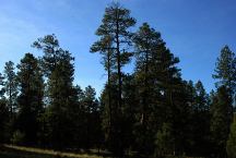 Pueblo Park Campground