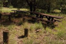 Picnic Table