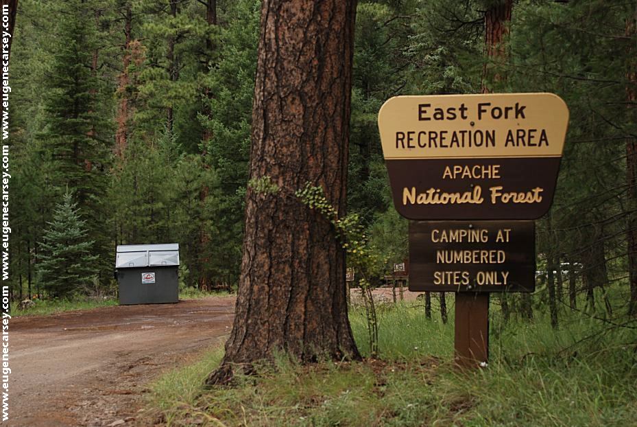 East Fork Black River Campground.