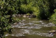 East Fork Black River