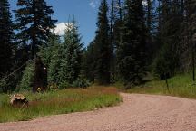 Hannagen Meadow Campground