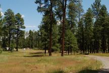 Dispersed Camp