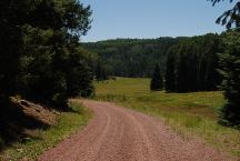 Dirt Road Towards KP Cienega Campground