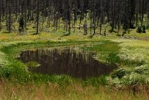 Pond near KP Cienega Campground