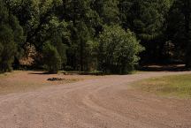 Unknown Campground