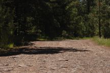 Road at Unknown Campground