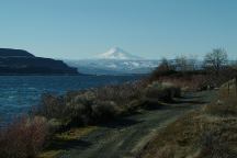 Mount Hood from Avery Park