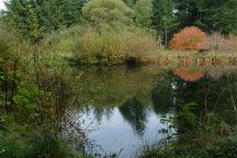 Pond on Bible Creek Road