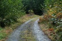 Road to the Pond on Bible Creek Road