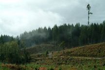 Road from Whipup Flat