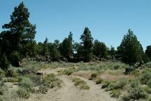 Camp area on old Hwy.20