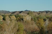 Mittry Lake Wildlife Area