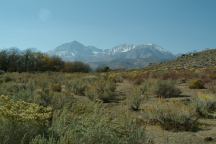 Views from Baker Creek Campground