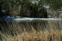 Lake with Snow Covered Banks