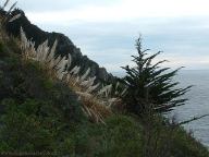 Big Sur