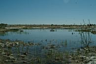 Bisti Wilderness Area