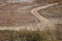 Road at Bonelli Bay