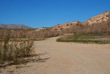 Road at Bonelli Bay